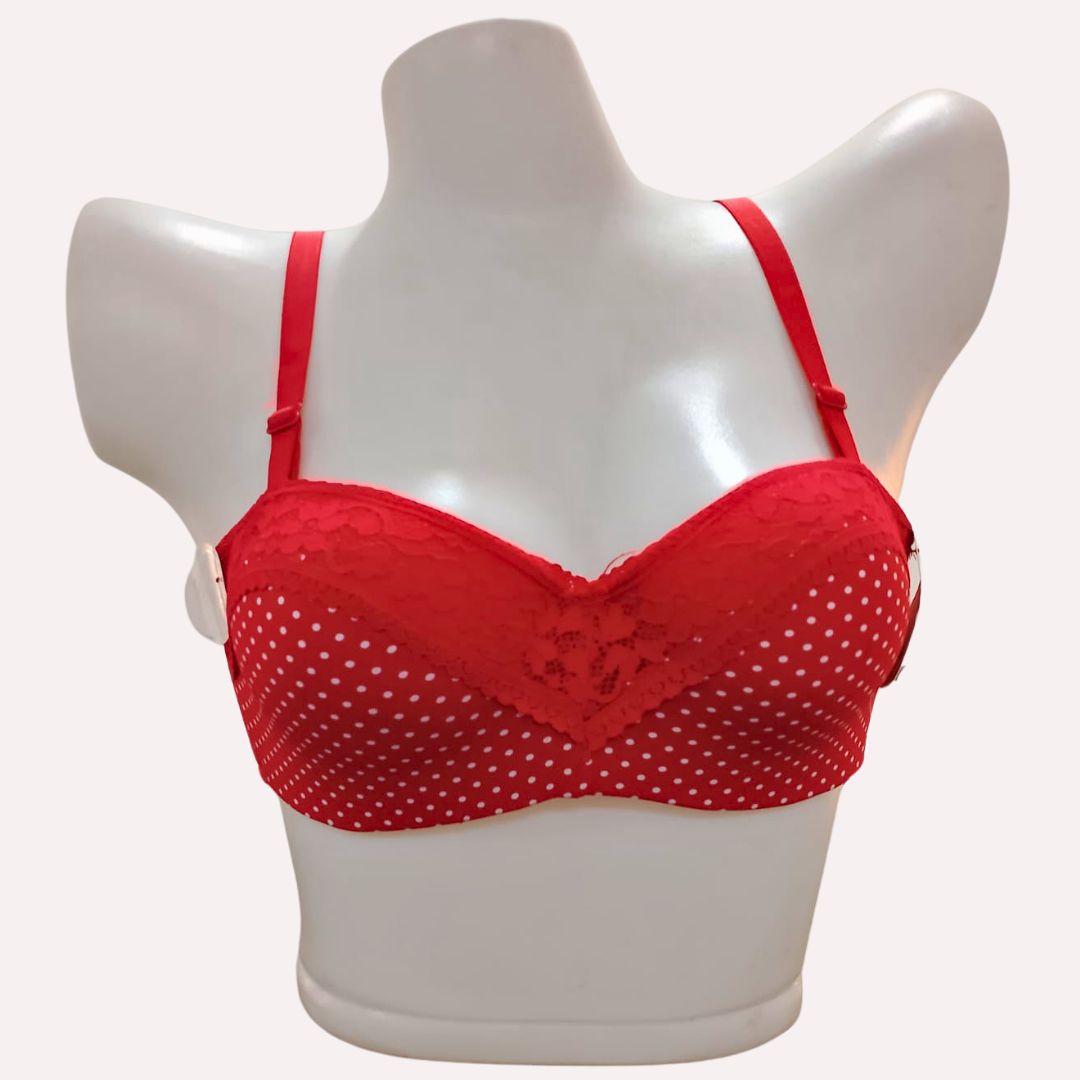 Polka Dotted Embroidery Padded Underwire Bra - E609